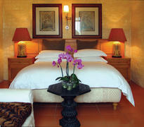 Safari Suite